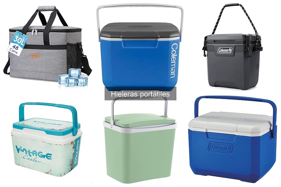 Alternativas a hieleras portátiles: bolsas y enfriadores