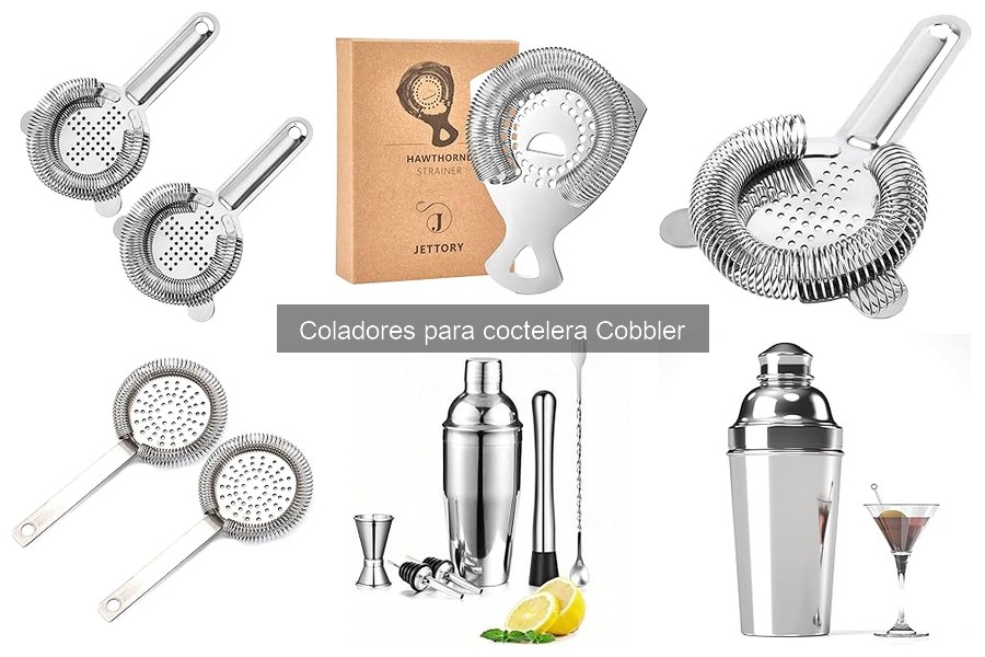 Alternativas al colador para coctelera Cobbler