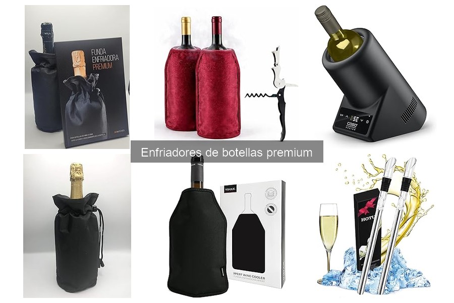 Cómo elegir el enfriador de botellas premium ideal