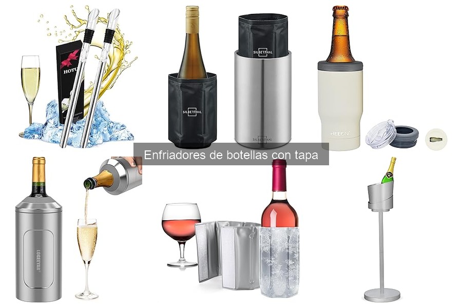 Cómo elegir el mejor enfriador de botellas con tapa