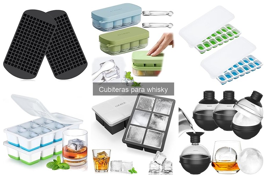 Comparativa de Cubiteras para Whisky: Con Tapa vs Sin Tapa