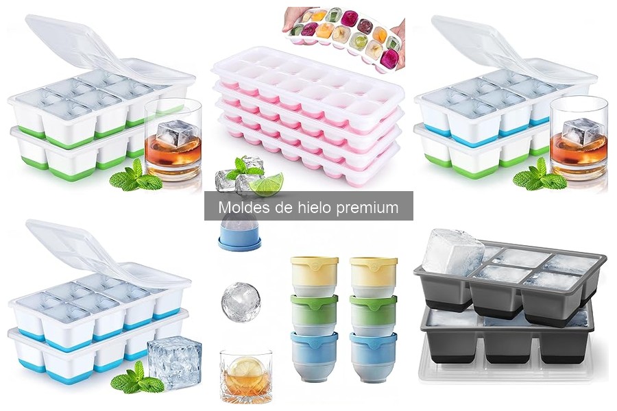 Comparativa de Moldes de Hielo Premium: JRISBO vs Ankway