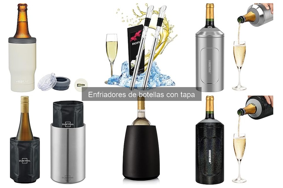 ¿Cuánto cuesta un enfriador de botellas con tapa?