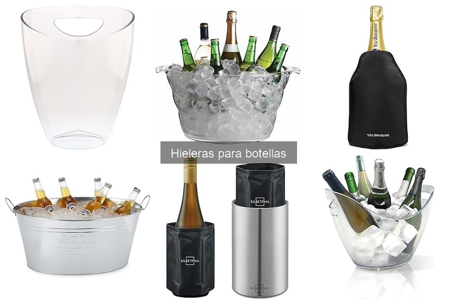 ¿Cuánto cuesta una hielera para botellas? Precios y tips