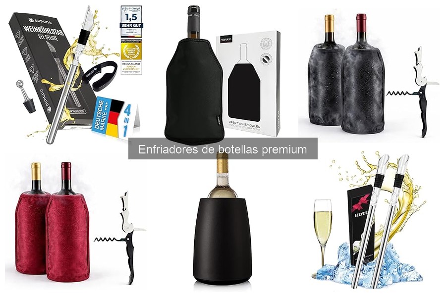 Dónde comprar enfriadores de botellas premium a buen precio