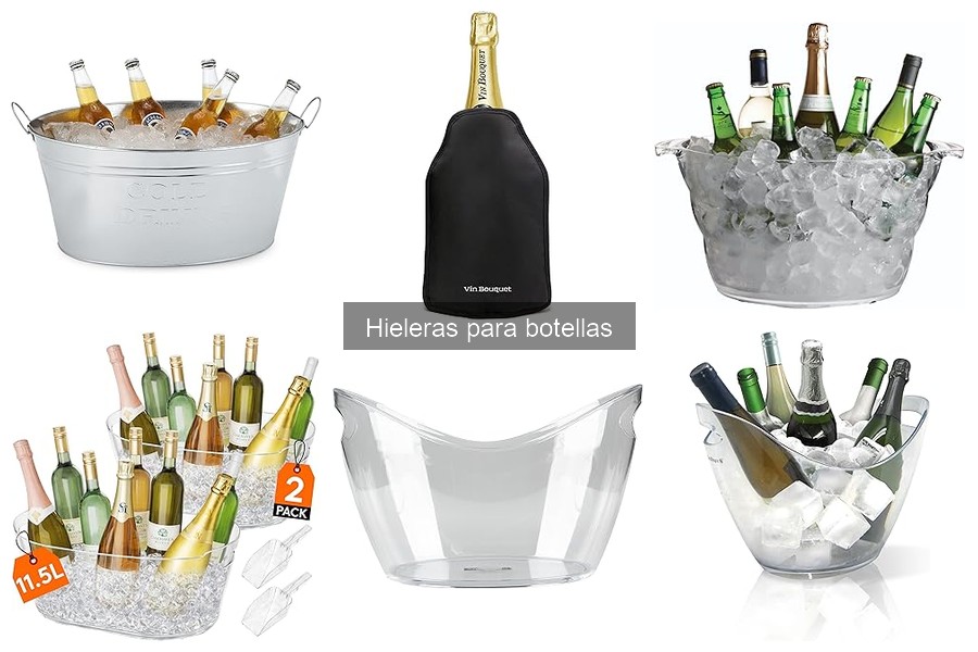 Guía de compra: Hieleras para botellas ideales para ti