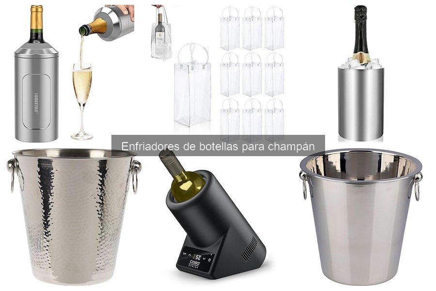 Guía para elegir el mejor enfriador de botellas para champán