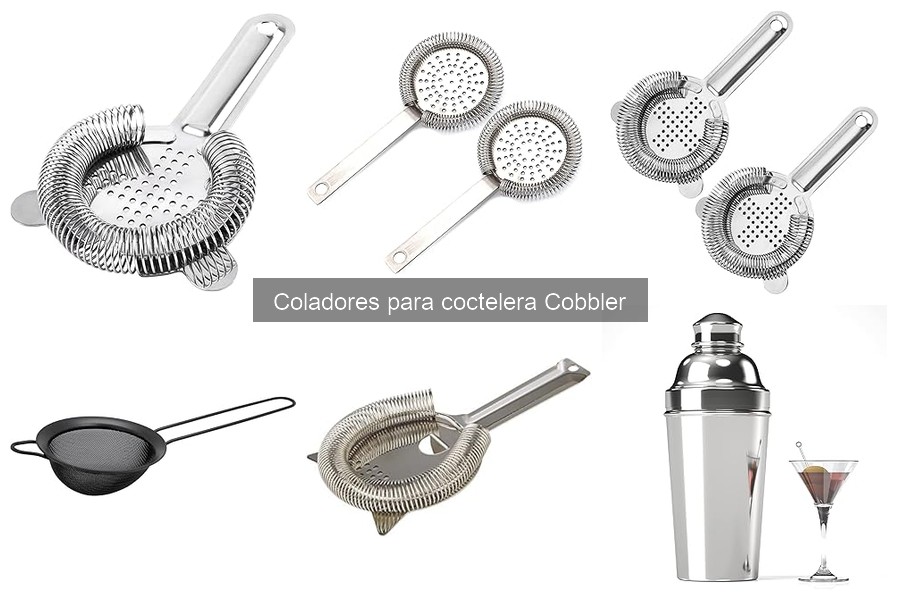 Mejores coladores para coctelera Cobbler para principiantes