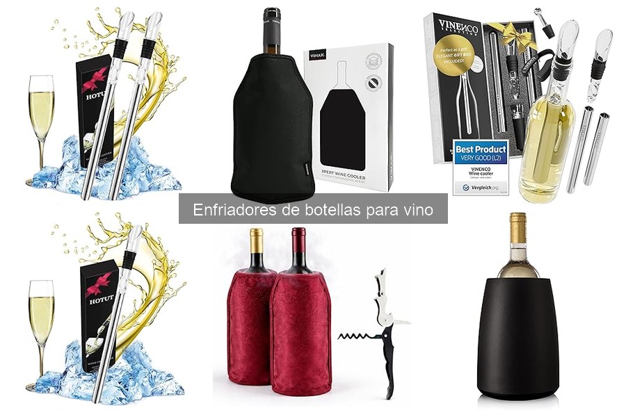 Mejores enfriadores de botellas para vino para casa en 2023