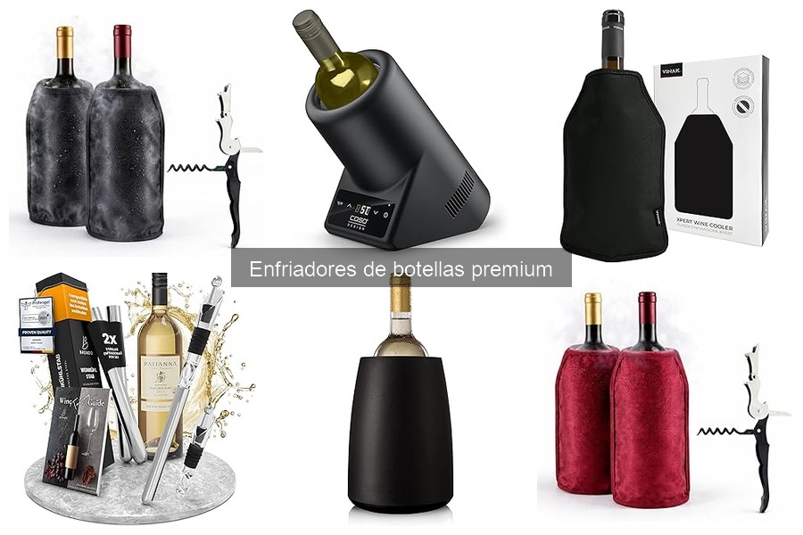 Mejores enfriadores de botellas premium para tu hogar