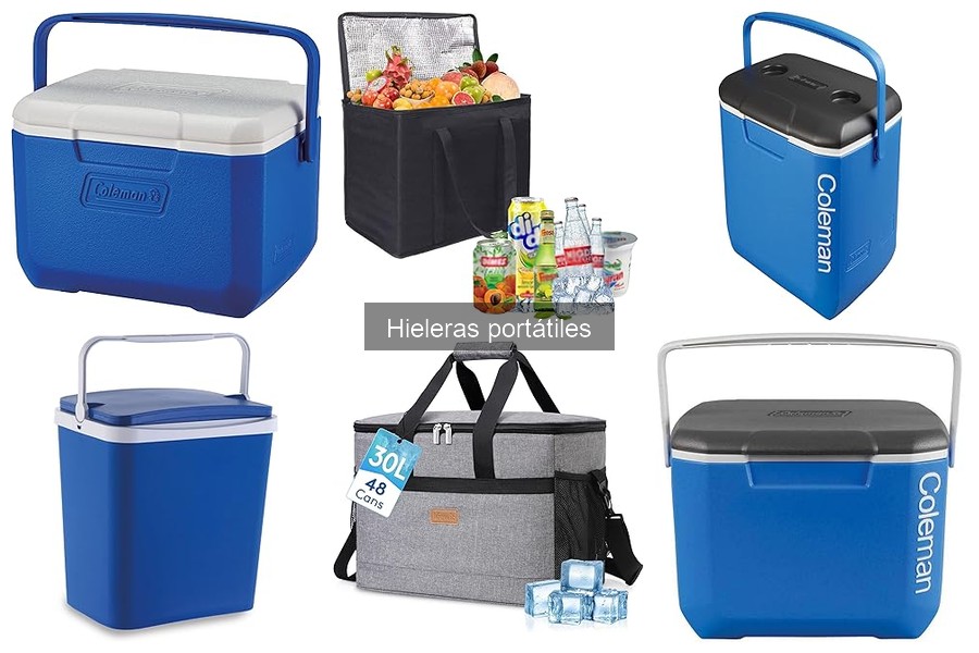 Mejores lugares para comprar hieleras portátiles con ofertas