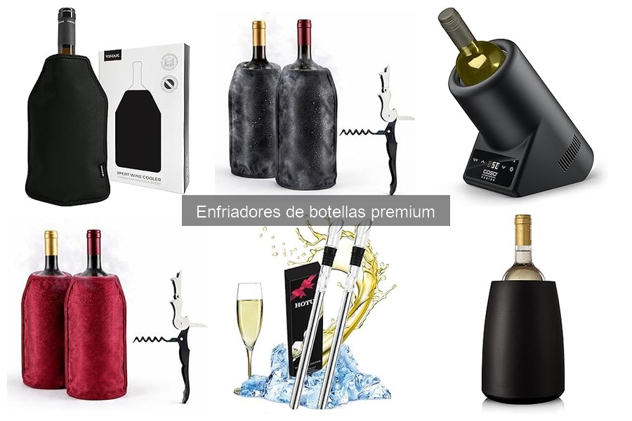 Mejores marcas de enfriadores de botellas premium