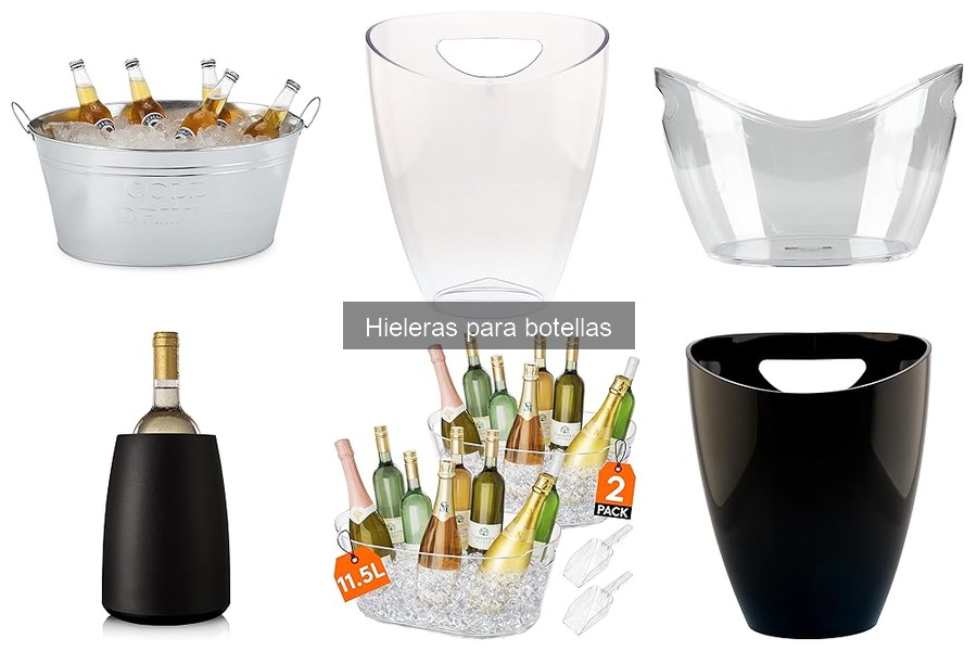 Mejores marcas de hieleras para botellas en 2023