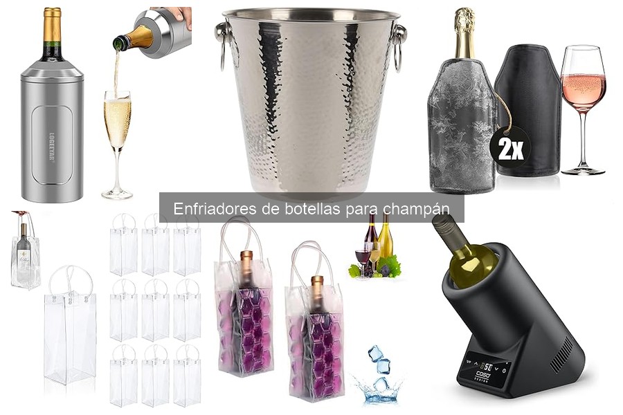 Mejores ofertas en enfriadores de botellas para champán