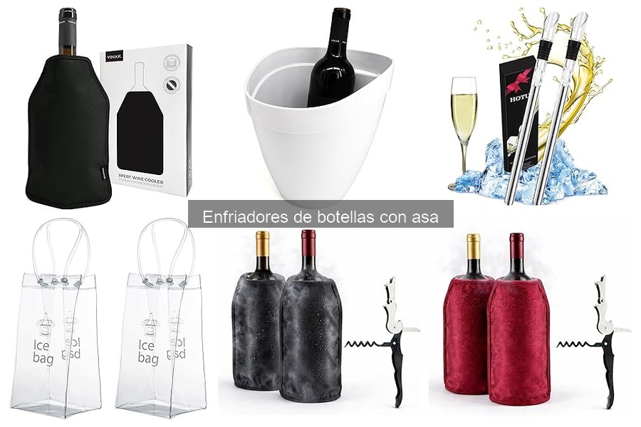 Mejores tiendas para comprar enfriadores de botellas con asa
