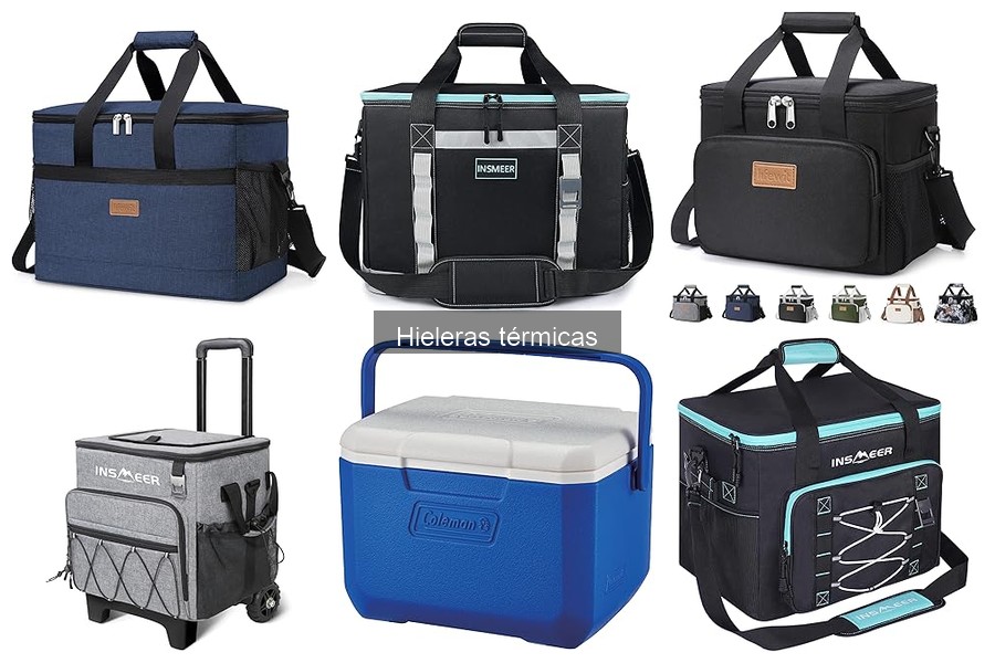 Ofertas y precios de hieleras térmicas en Amazon