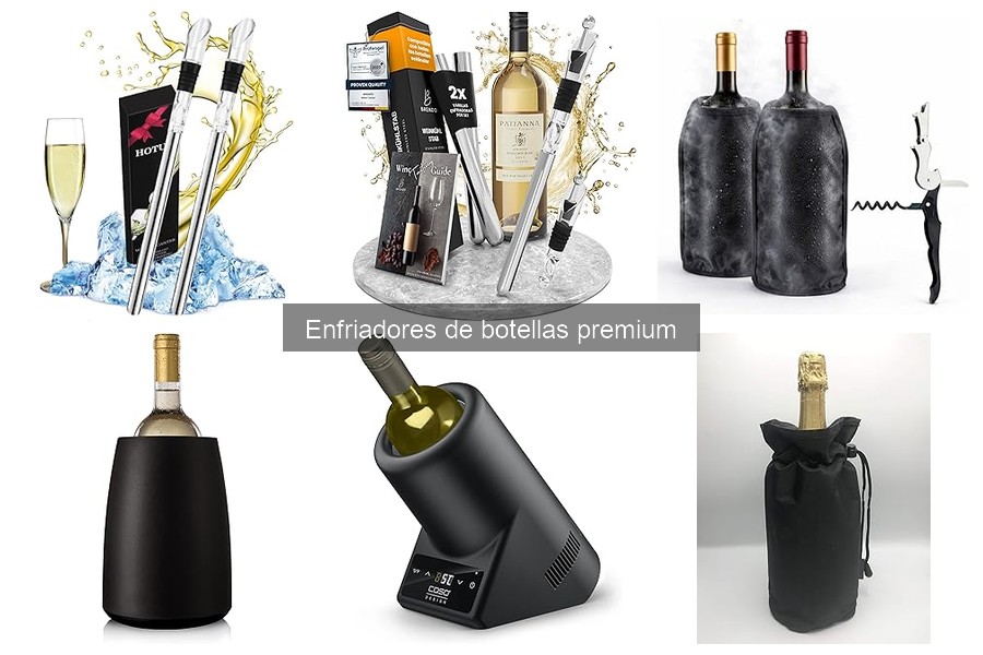 Problemas comunes con enfriadores de botellas premium y soluciones