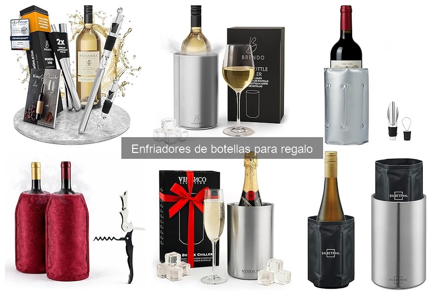 Problemas comunes con enfriadores de botellas y soluciones