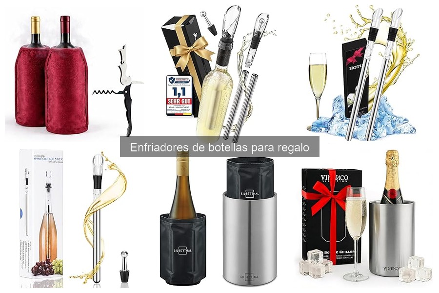 ¿Qué es un enfriador de botellas? Descubre sus características