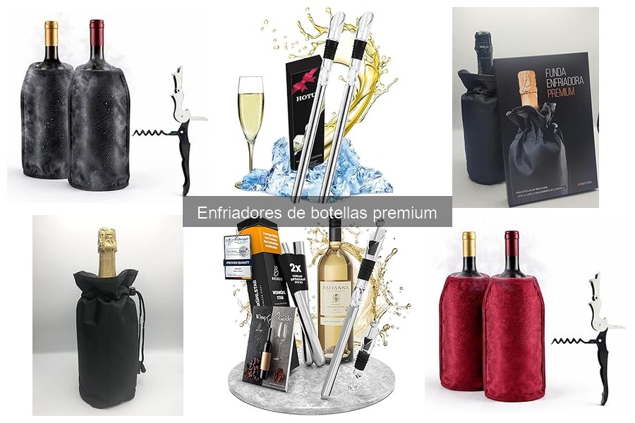 ¿Qué es un enfriador de botellas premium? Características y usos